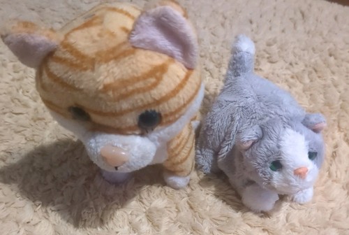 Pelliccia real friends hasbro - real,