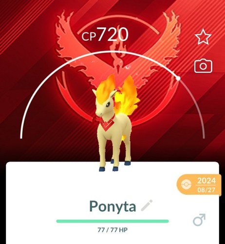 Pokemon trade ponyta - trade, |