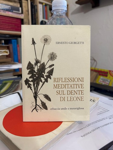 Ernesto giorgetti - ernesto,