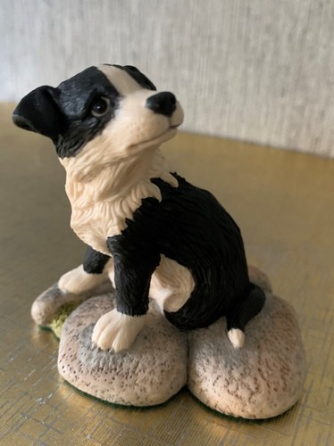 Border fine arts dog - ,
