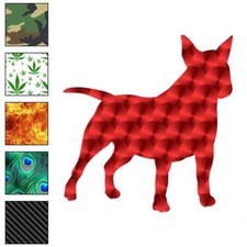 Miniature Bull Terrier Dog