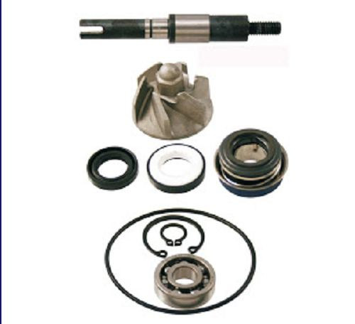 Kit revisione pompa acqua - pompa,