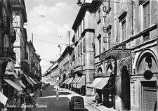 Pavia strada nuova animata - pavia,