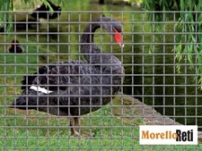 RETE ZINCATA PER GABBIE E VOLIERE MAGLIA 12X12  FILO 1.40 MM  MT 25