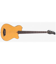 Basse Electrique FretLess M. MILLER GB5-4 FL NT