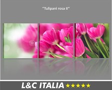 Tulipani rosa II QUADRI