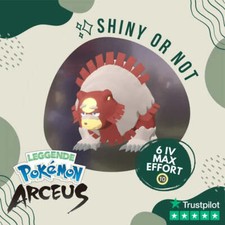 Ursaluna Shiny ✨ Legends