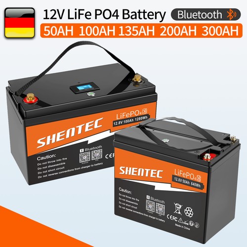 Batteria lifepo4 12v 300ah - lifepo4,