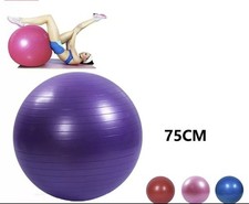 Gymball Palla Da Ginnastica Gonfiabile Yoga Pilates Fitness 75Cm hmj