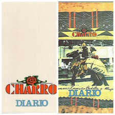 Due diari scolastici vintage