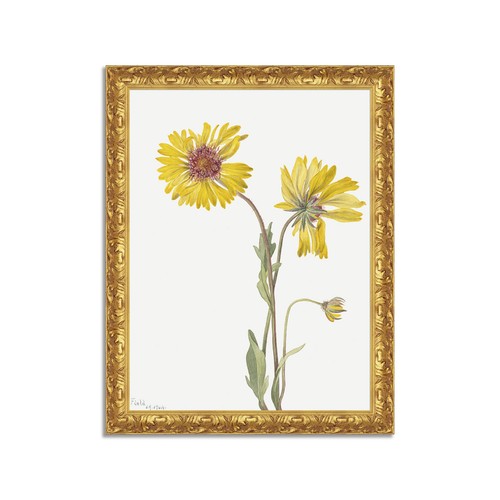 Quadro stampa tela effetto - stampa, su