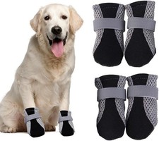XFSRG Scarpette Cane