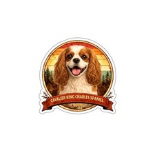 Adesivo sticker  sticker