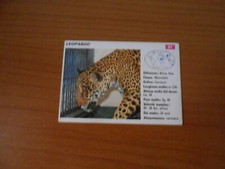 FIGURINA COLLEZIONE SCHEDE