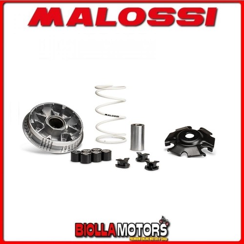 5119860 variatore malossi - 5119860,