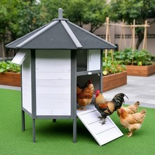 Pollaio 6 angoli voliera per