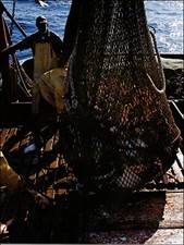 1974 Vintage Print Monterey