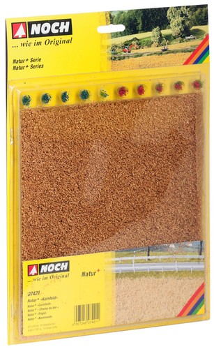 Noch campi grano - noch, cm