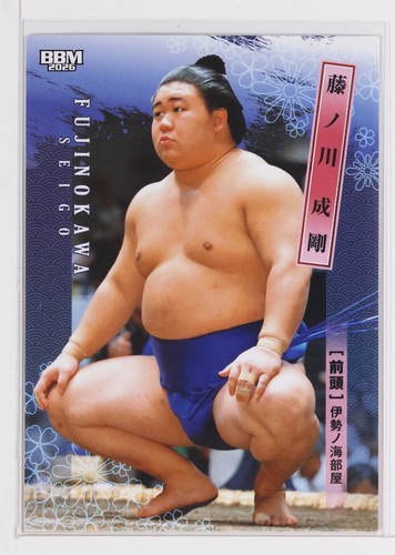 Fujinokawa seigo - fujinokawa,