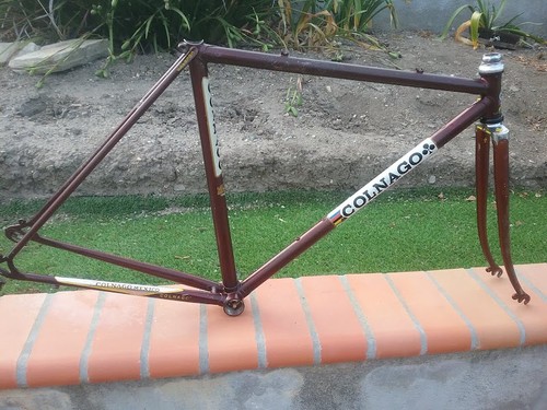 Vintage colnago mexico - vintage,