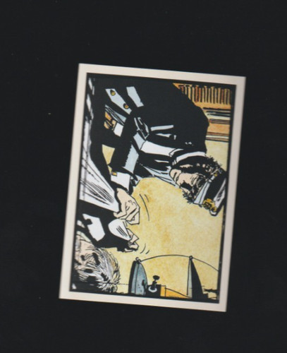 Panini sticker corto - corto, maltese