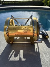 Penn International 80w -