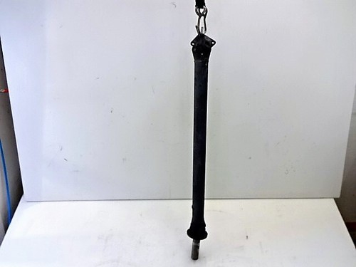 373002x800 albero - 373002x800, di