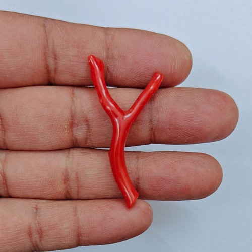 Ramo corallo rosso italia - corallo,