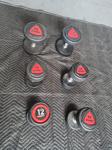 Coppia manubri 12kg 14kg - coppia,