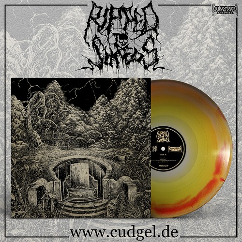 Ripped shreds mai zang lp - mai,