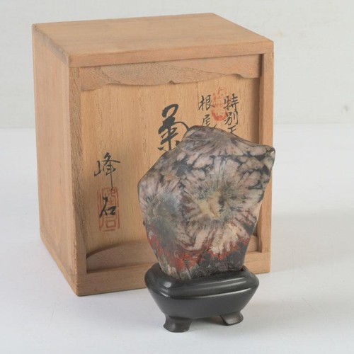 Bonsai suiseki bonseki - bonsai,