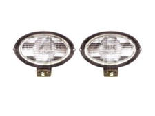 Coppia Luci da Lavoro