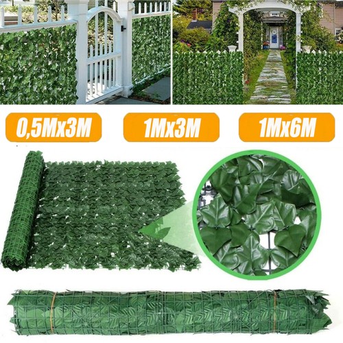 Siepe oscurante 1x6m edera - siepe,