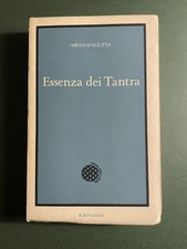 Abhinavagupta, Essenza del