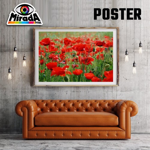 Poster campo rosso red - campo,
