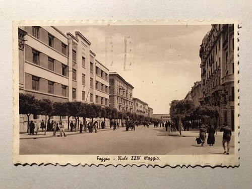 Foggia viale xxiv maggio - viale,