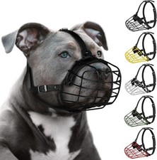 Pitbull Museruola per Cani