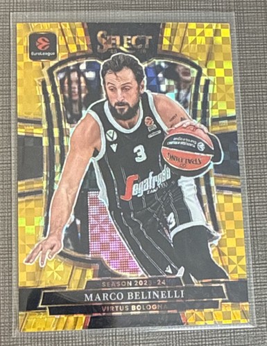 2025 panini seleziona - 2025-26,