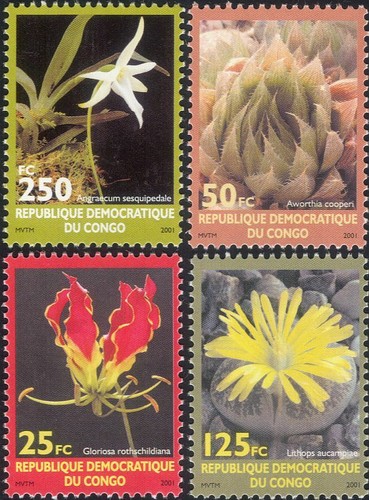 Congo 2001