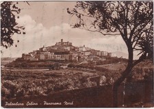 PALOMBARA SABINA - ROMA - PANORAMA NORD - VIAGG. -18593-