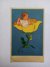 illustratore  MB - serie " il giardino meraviglioso"