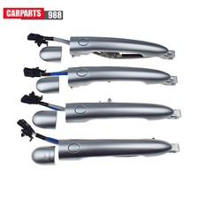 Silver Outside Door Handles