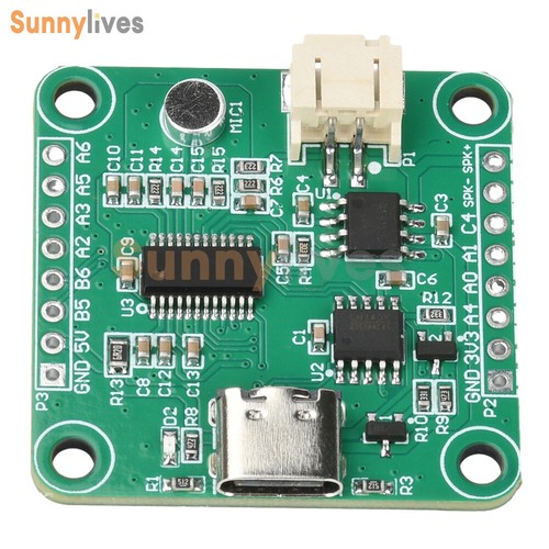 Scheda sviluppo audio - scheda, di