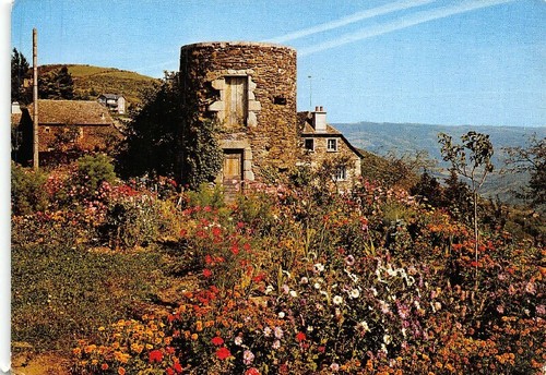 Armonia dei fiori delle - dei, e