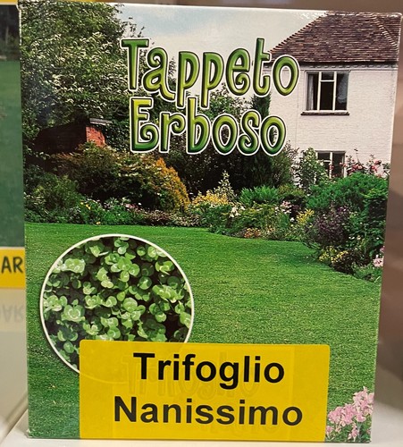 Trifoglio bianco nanissimo 500 - bianco,