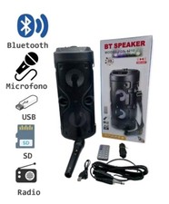 Cassa Acustica Amplificata Trolley Karaoke Bluetooth con Microfono USB SD MUSICA