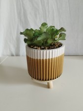 Fiore di cactus finto