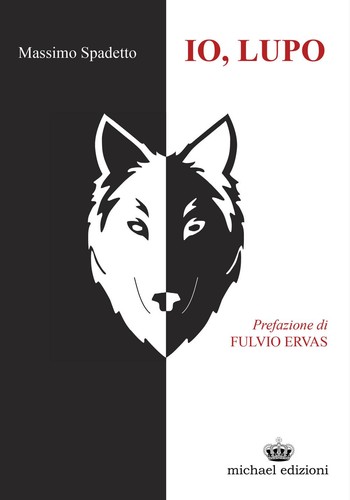 Libro massimo spadetto - libro,