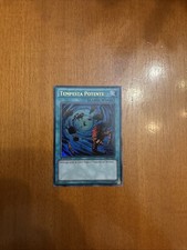 TEMPESTA POTENTE (Heavy Storm)