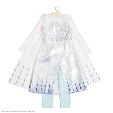 Disney Frozen 2 Elsa Costume -